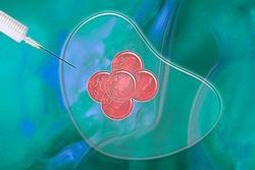 2025年江苏省徐州市最正规的助孕机构推荐，附带三大助孕公司